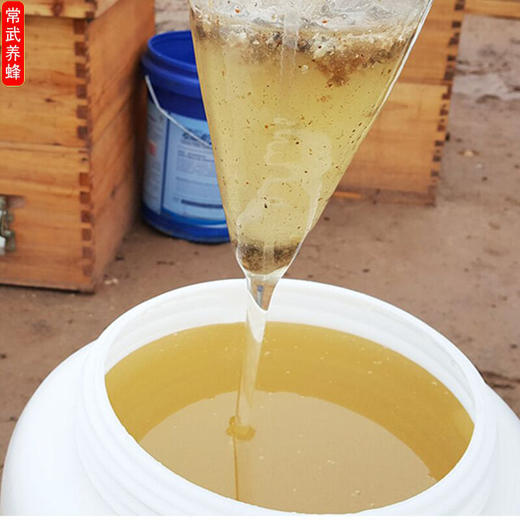 【常州馆】洋槐蜂蜜纯天然农家自产自销纯正宗槐花蜂蜜新鲜洋槐花蜂蜜1000克 商品图2