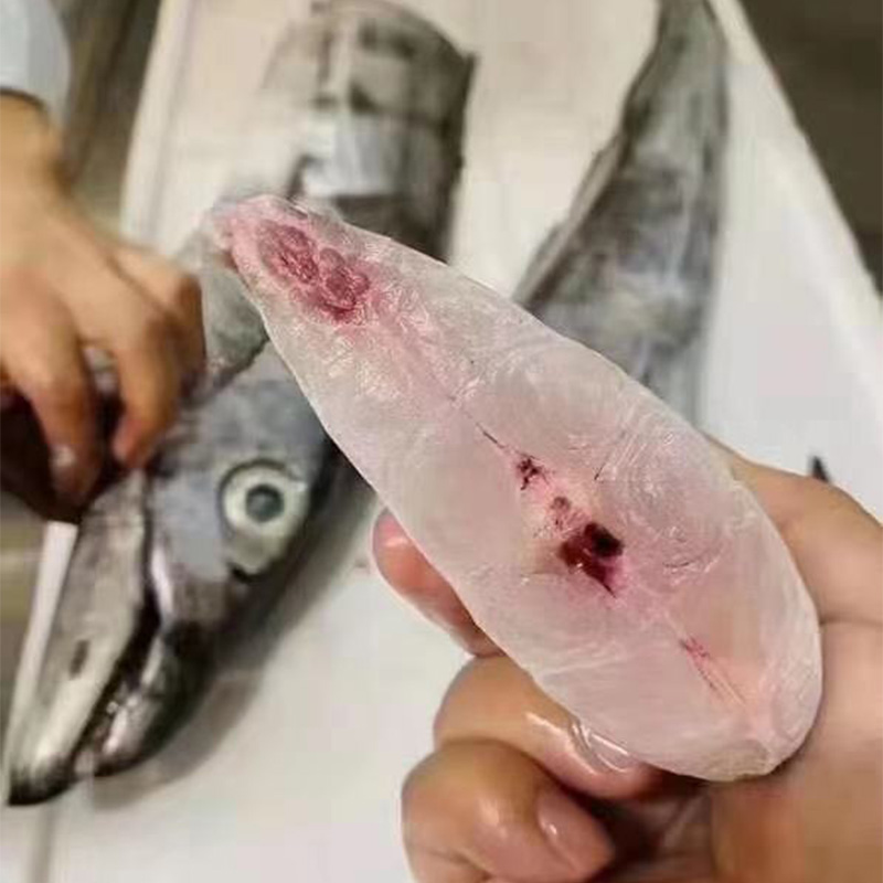 野生海钓大带鱼（东山岛纯野生）