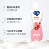 纯甄果粒轻酪乳白桃石榴味风味酸牛乳PET瓶230g×10瓶 商品缩略图2