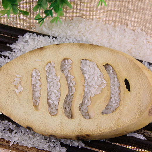 2025年稻花香新米上市 天野园故溪福稻礼盒5kg 商品图2