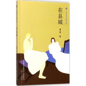 在县城/布老虎中篇小说