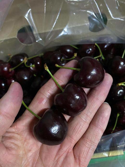 周四取货：【大G桑提娜单J车厘子】甜度高，多汁！ 商品图4