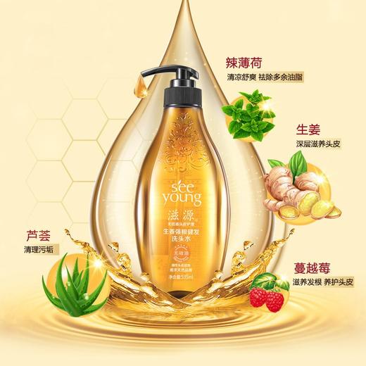 滋源生姜洗发水无硅油强根健发洗发露洗头膏535ml（强韧发根 丰盈发量 男士女士通用 油性） 商品图6