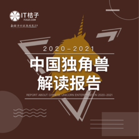 2020-2021年中国独角兽解读报告