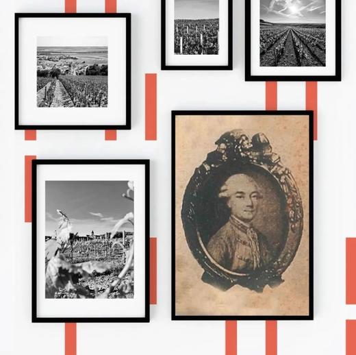 Delamotte Blanc de Blancs 2018 德乐梦香槟白中白 2018 商品图5