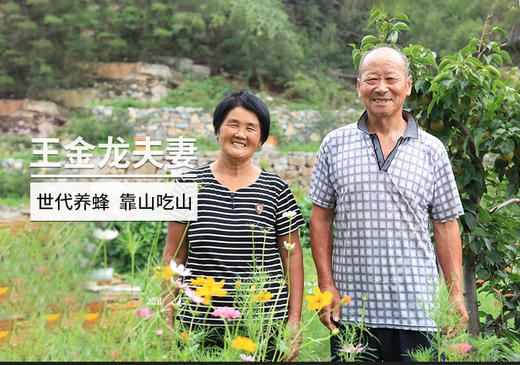 长葛深山百花蜜高山滋养野生好蜜500g/罐 商品图0