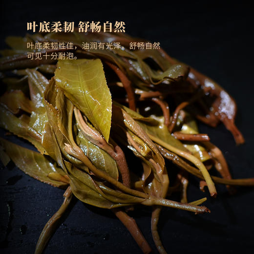 霏鸿茶叶 2019年云南普洱茶生茶散茶普洱布朗山高山云雾生态乔木散茶500克 商品图3