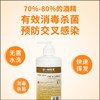 近效商品 介意勿拍24年12月 到期  KJ 百能速干手消毒液免洗手皮肤消毒凝胶500ml 商品缩略图1