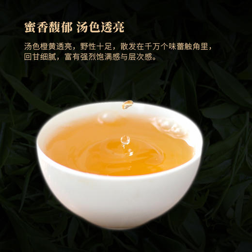 霏鸿茶叶 2019年云南普洱茶生茶散茶普洱布朗山高山云雾生态乔木散茶500克 商品图2