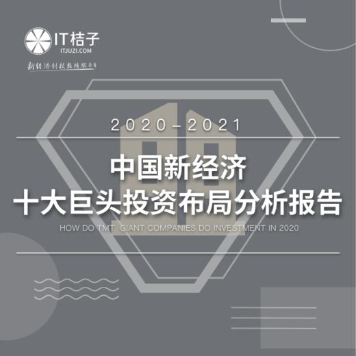 2020-2021年中国新经济十大巨头投资布局分析报告 商品图0