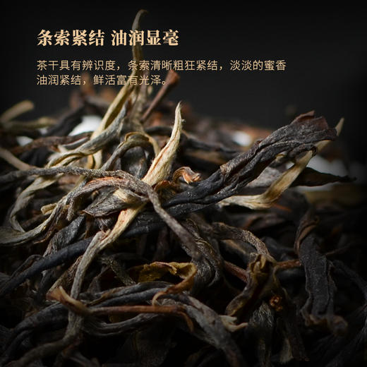 霏鸿茶叶 2019年云南普洱茶生茶散茶普洱布朗山高山云雾生态乔木散茶500克 商品图1