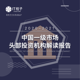 2020-2021年中国一级市场头部投资机构解读报告
