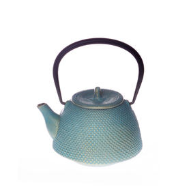 日本岩手县铸铁茶壶 0.5L