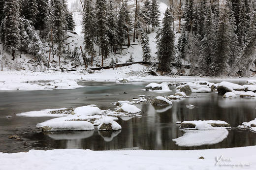 【全程越野车3人/车】北疆冬日仙境禾木、喀纳斯、白哈巴、安集海大峡谷、魔鬼城、阿禾公路8天摄影团 商品图2