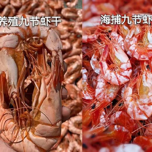 野生海捕九节虾 礼盒装（ 90g*4罐）收到后冷冻保存 商品图6