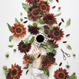 油画向日葵【入目无他人，四下皆是你】简小姐精选  稀有新品复古油画质感 油画向日葵 5枝 2件包邮下单72小时发货