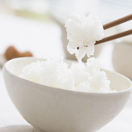 盛宝 泰金香 莲花香米 长粒米 大米5kg 商品图3