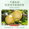【买3送2】初草堂清沛糕 8种珍贵谷果 手工熬制 吃出健康 全家老小都需要 140g/盒 商品缩略图3