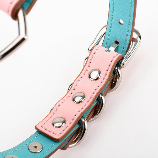 SM 情侣项圈饰品 商品图3