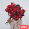 配花-迎客豆-红色 商品缩略图0
