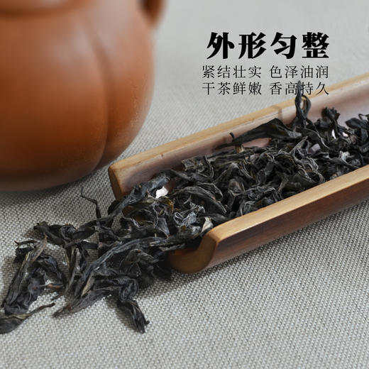 霏鸿茶叶 大红袍茶叶正宗武夷山特级新茶礼盒装岩茶75g 大红袍 商品图1