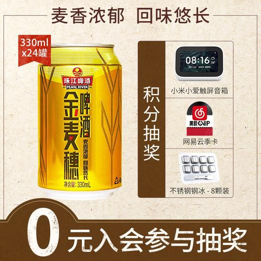 珠江啤酒 10度 金麦穗 330ml*24听 整箱装 商品图1