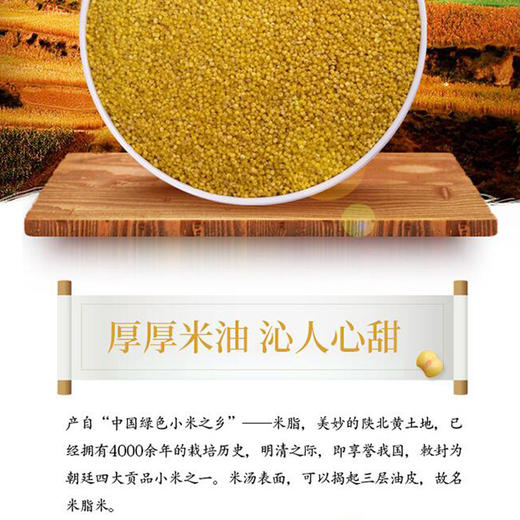 人民食品 米脂油小米 杂粮 黄小米 陕北小黄米小米粥大米伴侣880g 商品图2