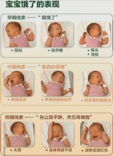 发现宝宝的饥饿信号