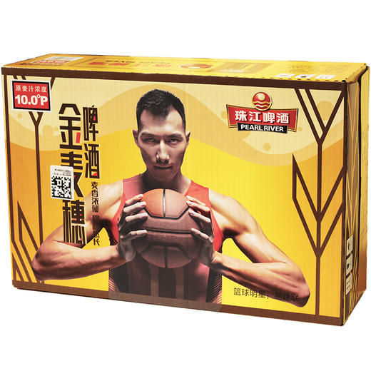 珠江啤酒 10度 金麦穗 330ml*24听 整箱装 商品图6