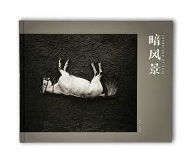 《暗风景》唐浩武摄影集