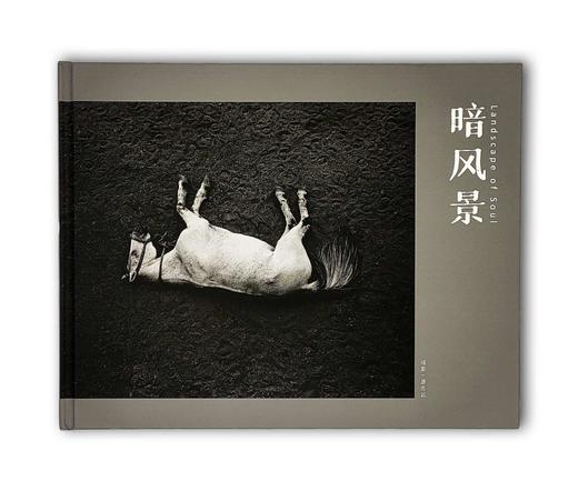 《暗风景》唐浩武摄影集 商品图0