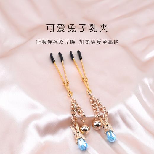 SM 情趣调教 乳夹乳饰 惩罚调教 商品图2