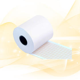 赠品—理邦SE-1/SE-100心电图纸