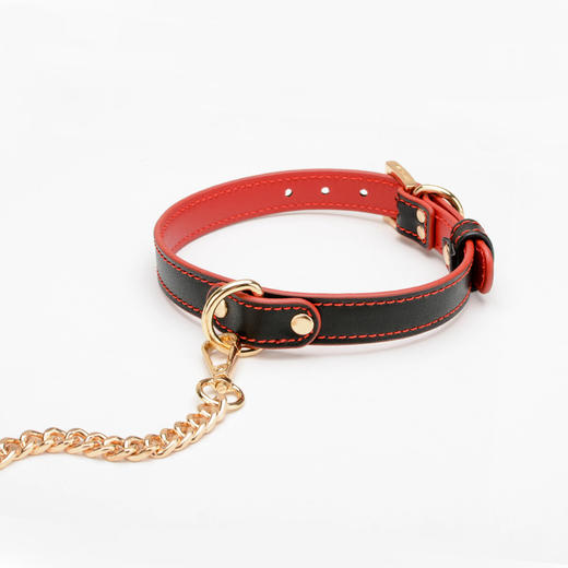 SM 情趣项圈+牵引绳  性感束缚 商品图3