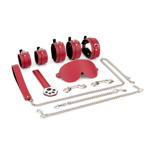 SM 情趣套装 捆绑调教加收纳袋（9件套） 商品图9