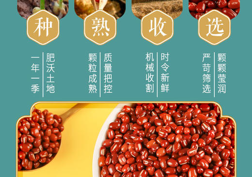 秋季新粮素食猫红小豆400g *3红豆 小豆 无添 加真空装 东北 五谷 杂粮 粗粮 商品图3