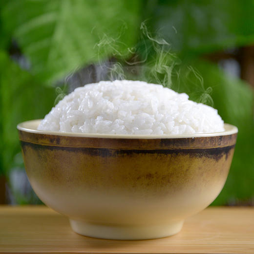 岭南人家 和味粘 油粘大米 盛宝出品 大米10kg 商品图4