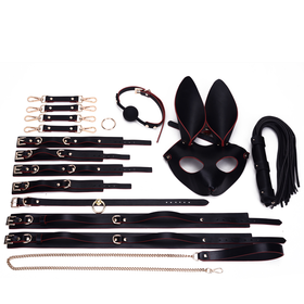 SM 兔子舞会 高端情趣套装（16件套）