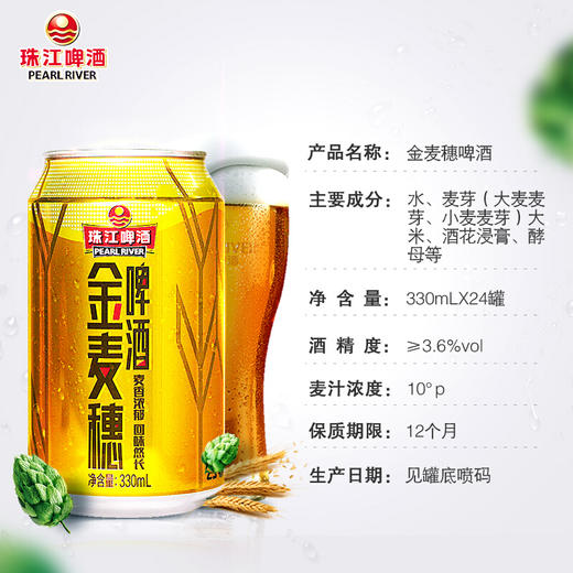 珠江啤酒 10度 金麦穗 330ml*24听 整箱装 商品图3