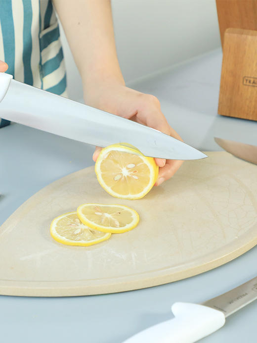 【查蒙蒂纳】刀具4件套，它足够快，也很轻巧，而且很耐用【热销】 商品图8