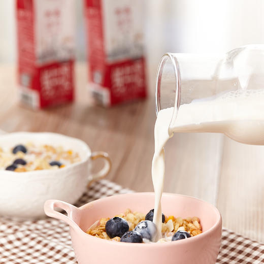 晨光牛奶 供港壹号纯牛奶250ml*12盒 整箱礼盒装 营养常温奶 商品图5