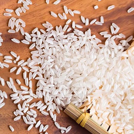 福临门 稻花香 东北大米 五常大米 中粮出品 大米 5KG 商品图5