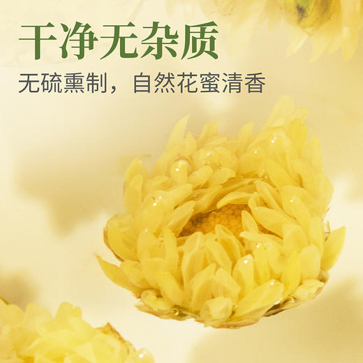 茶人岭茶叶 花草茶 菊花茶胎菊茶杭白菊泡水喝的花茶80g 商品图4
