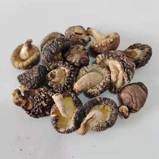 隐岭·香菇 商品图1