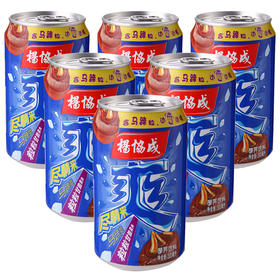 杨协成 马蹄爽 荸荠果汁果肉饮料 300ml*6听  新加坡百年品牌  新老包装随机发货