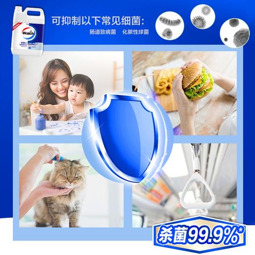 威露士（Walch）健康抑菌洗手液(健康呵护)5L 有效抑菌99.9% 商品图1