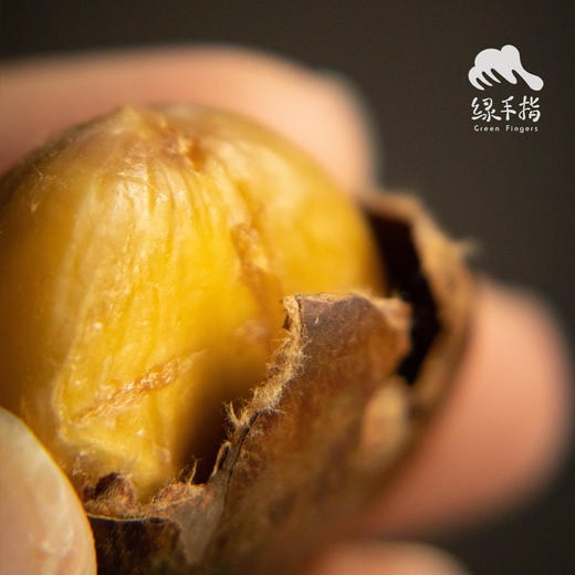 生态迁西板栗 | 合作生产* Eco-Qianxi chestnut | Coprodution 商品图2