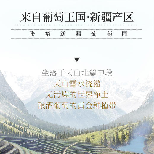 张裕 新疆葡园 干白葡萄酒750ml 国产红酒 商品图1