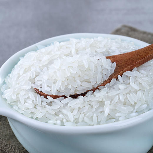 柴火大院 五常有机大米 稻花香米 五常大米 东北大米5kg 商品图4