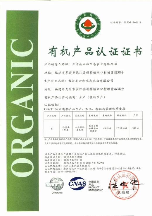 丨有机丨长汀小黄姜5斤 生姜 商品图6